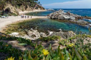 Avec ses eaux cristallines, ses plages de sables blancs, ses pins accrochés aux falaises et sa floraison printanière, la Costa brava à des airs de petit paradis
