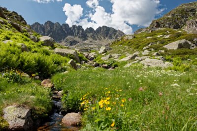 Au bout de ce petit vallon herbeux et fleuri, les crêtes frontalières avec l'Andorre se dessinent
