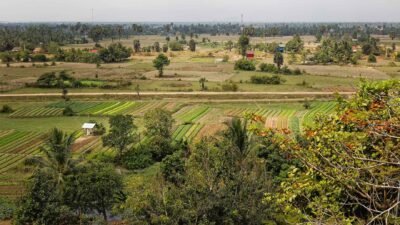 Paysage cambodgien