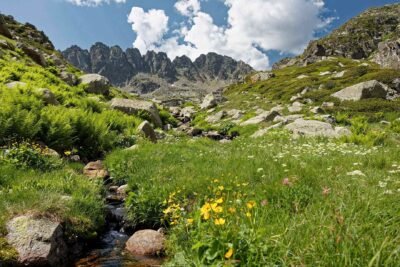 Au bout de ce petit vallon herbeux et fleuri, les crêtes frontalières avec l'Andorre se dessinent